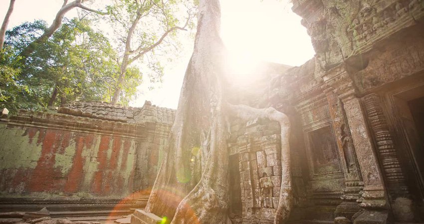 Angkor Wat Sunrise Small-Group Tour from Siem Reap